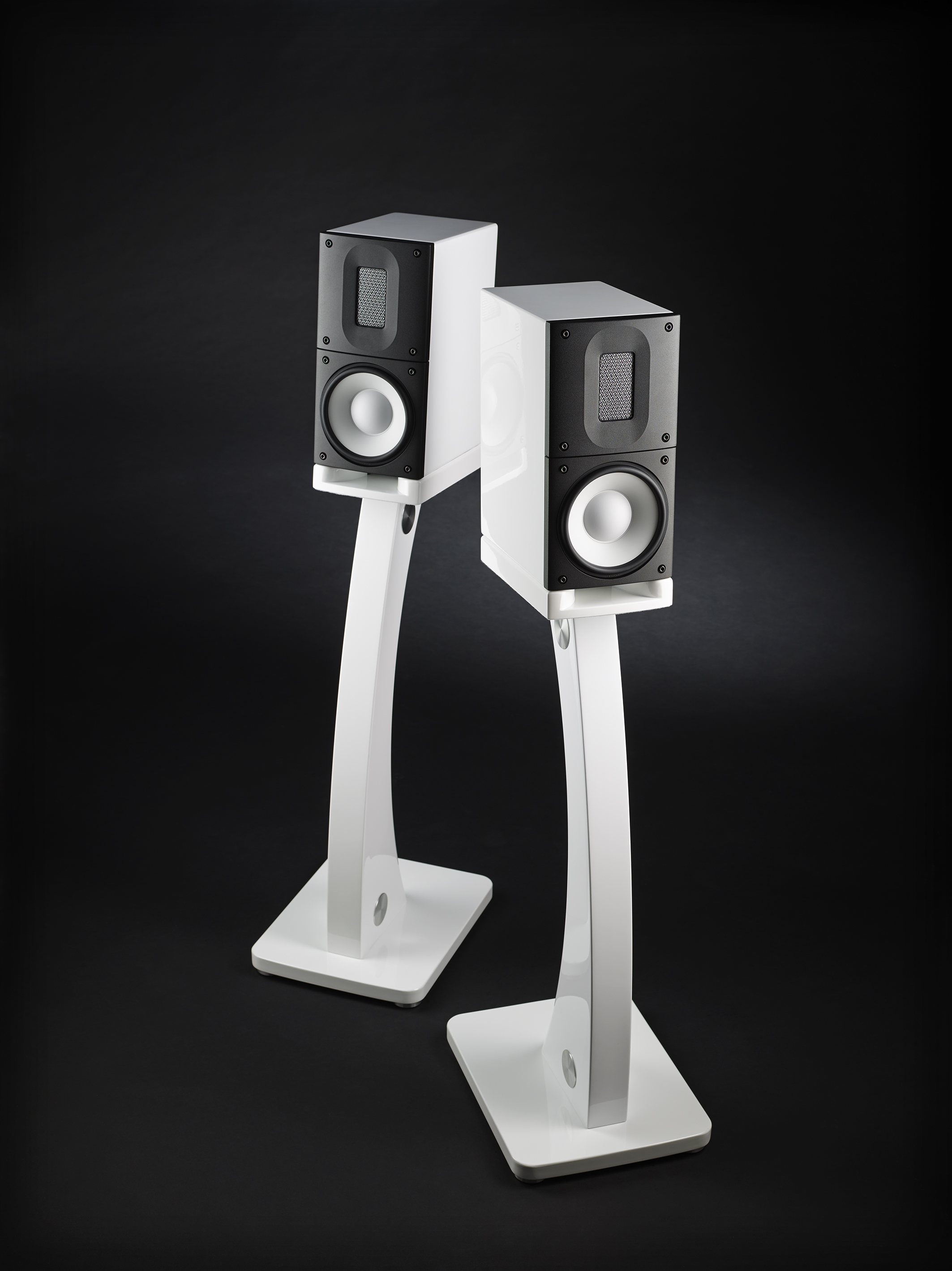 Raidho Acoustics X-1